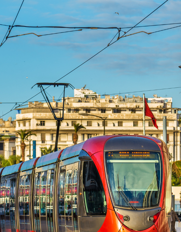 11-Day Morocco Discovery