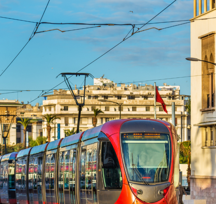 11-Day Morocco Discovery